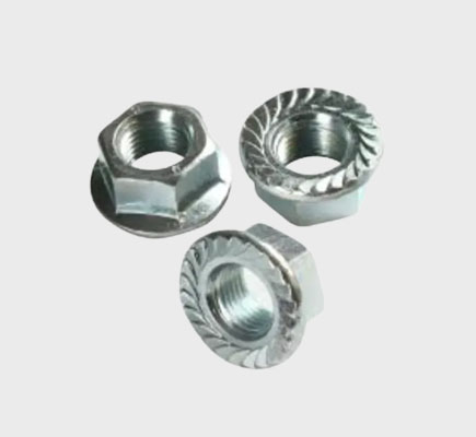 Nut Bolts Screw Suppliers In Delhi