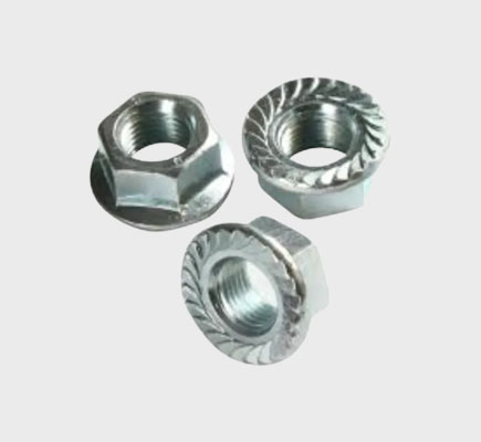 Nut Bolts Screw Suppliers In Delhi