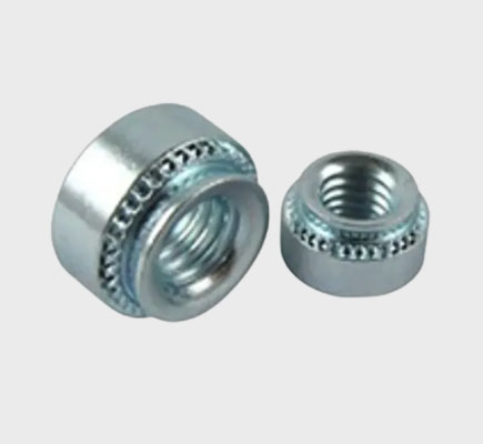Nut Bolts Screw Suppliers In Delhi