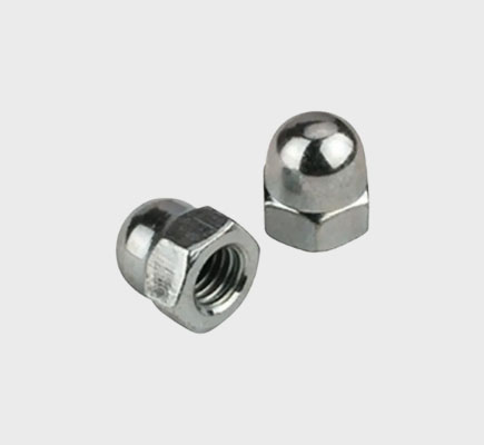 Nut Bolts Screw Suppliers In Delhi