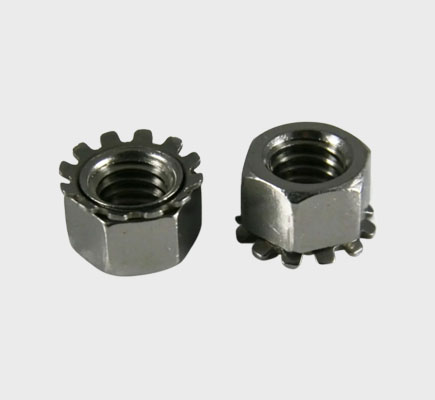Nut Bolts Screw Suppliers In Delhi